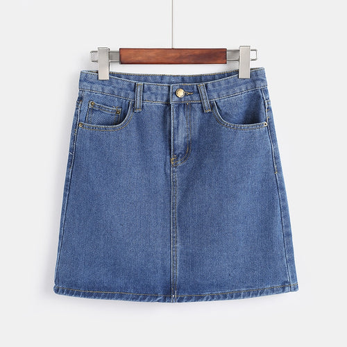 Mini Denim Skirt